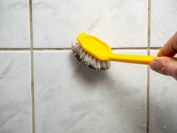 Best Black Mold Removal  in Continental, OH